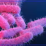 CDC data shows no bloody diarrhea outbreak in Cleveland or Ohio