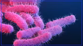 CDC data shows no bloody diarrhea outbreak in Cleveland or Ohio