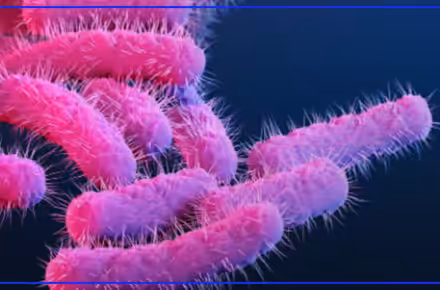 CDC data shows no bloody diarrhea outbreak in Cleveland or Ohio