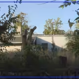Madeline Driftmyer says abandoned Toledo property is drawing rats to yard