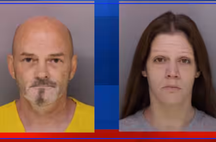 Nadine Dellipaoli charged after two children injured in Westwood